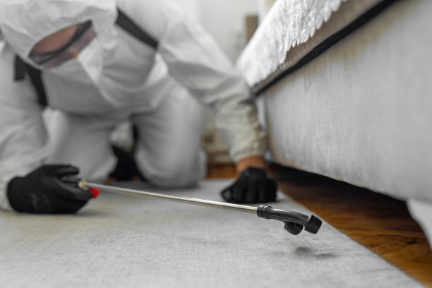 Professional Termite Control technician working in Kimberly, ID