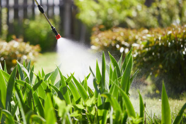24/7 Emergency Termite Control experts in Kimberly, ID